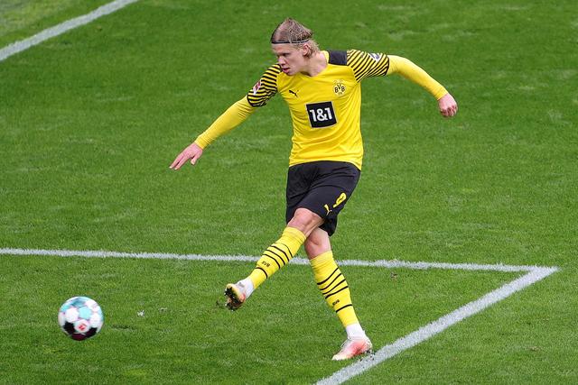 与公牛比赛 与公牛比赛